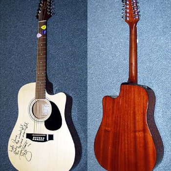 David Bowie Autographed Stage-Played 12 String Takamine
