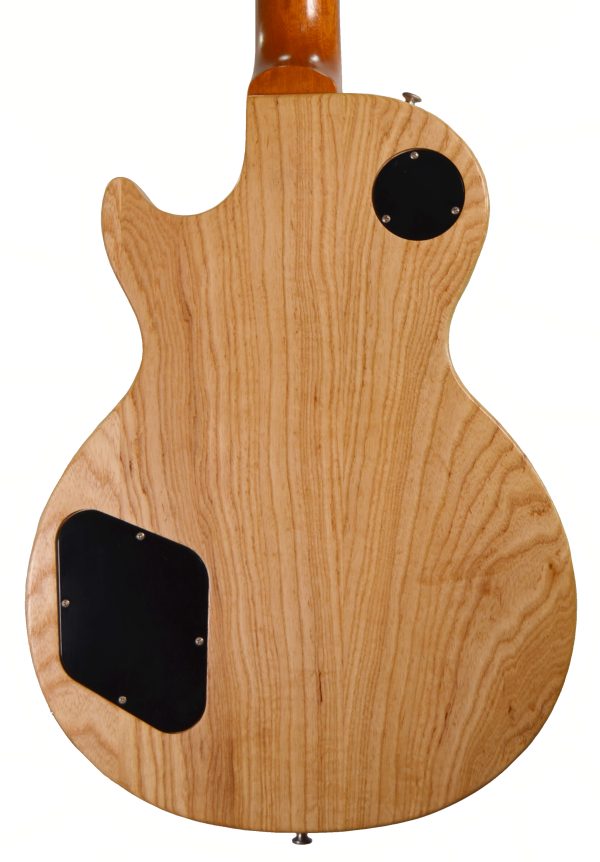 Gibson - Les Paul Studio Swamp Ash 2009 Smartwood Series Electric Guitar w/ OHSC - Used - Image 6