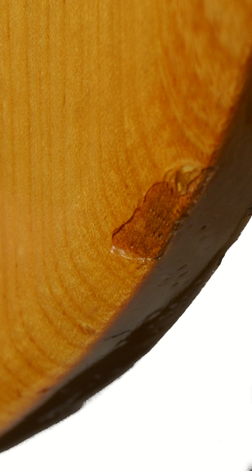 Maya - Ripper Bass Guitar w/ HSC - Used - Image 15