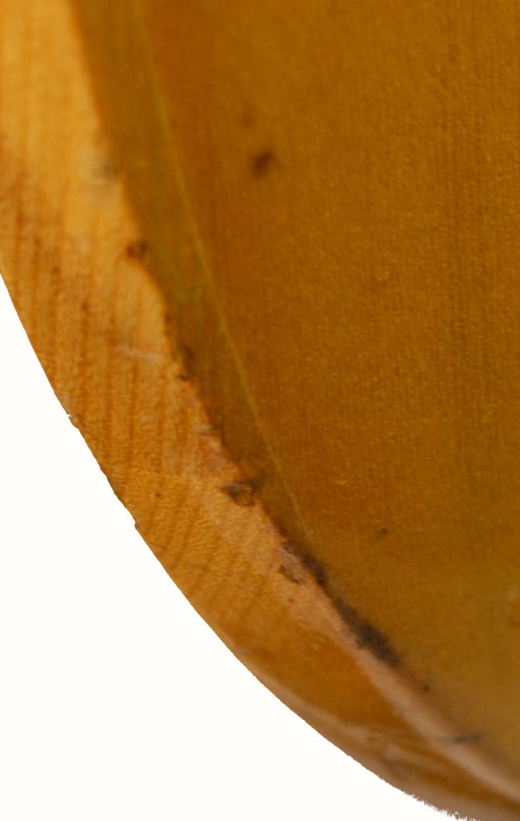 Maya - Ripper Bass Guitar w/ HSC - Used - Image 16