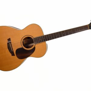 Parkwood - PW320M Folk Size Acoustic/Electric Guitar w/ Gig Bag - Used