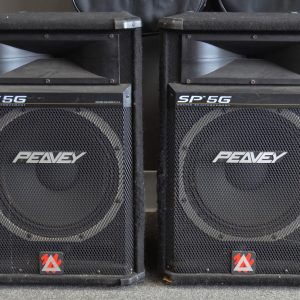 Peavey - SP-5G Two-Way PA Speakers Pair - Used