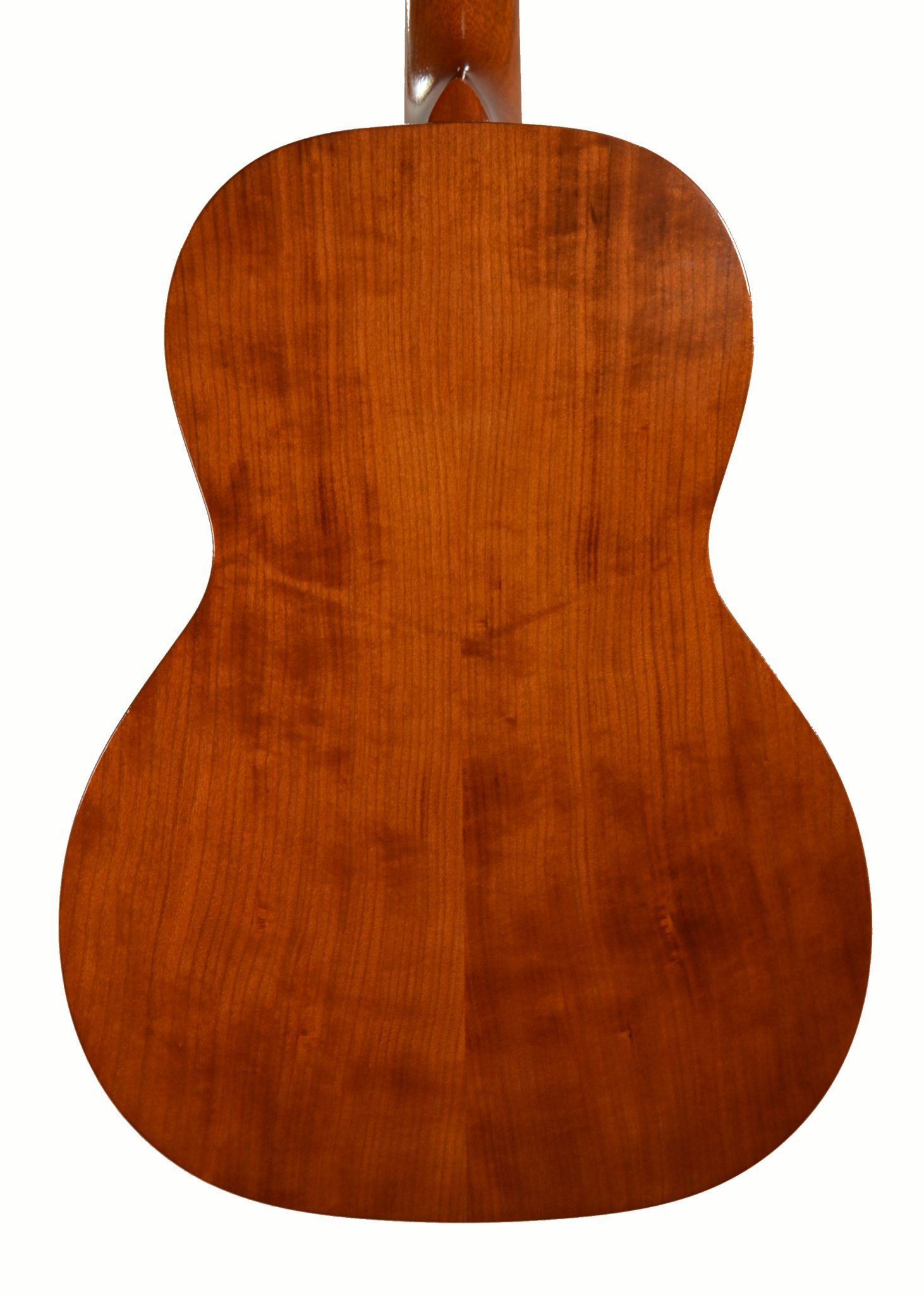 Waterloo - WL-S Parlor Size Acoustic Guitar w/ OHSC - Used - Image 6